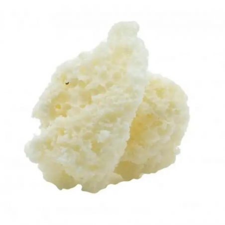 White Crumble Wax - CBD BARATO | CBD légal