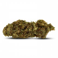 Fruit Cake GH