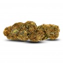 AK-47 | CBD Flower GreenHouse | CBDpaschere | Calidad a bajo precio