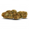 AK-47 | CBD Flower GreenHouse | CBDpaschere | Calidad a bajo precio
