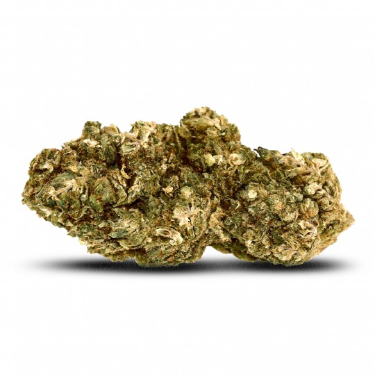Mango Kush - CBD Flowers| cbd-barato
