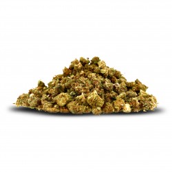 Migas del chef (indoor)