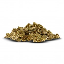 Pack 25g Critical (Limited...