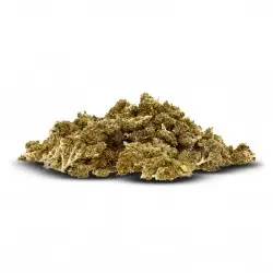 Pack 25g Critical (Limited...
