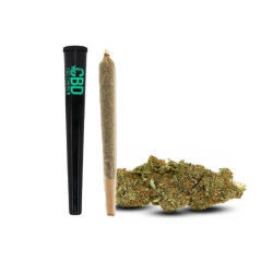 Pré-roll Gelato CBD