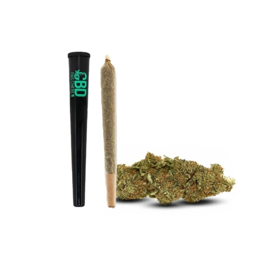 Pré-roll Gelato CBD  | CBDbarato