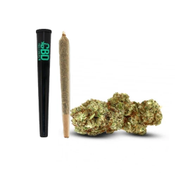 Pré-Roll White Widow