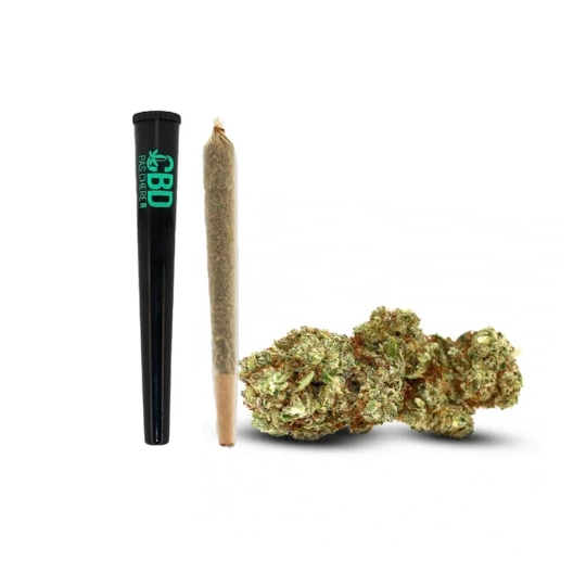 Pré-Roll White Widow | CBDbarato