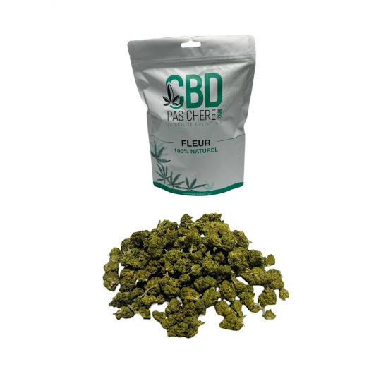 25g Small Bud - Plutonium US