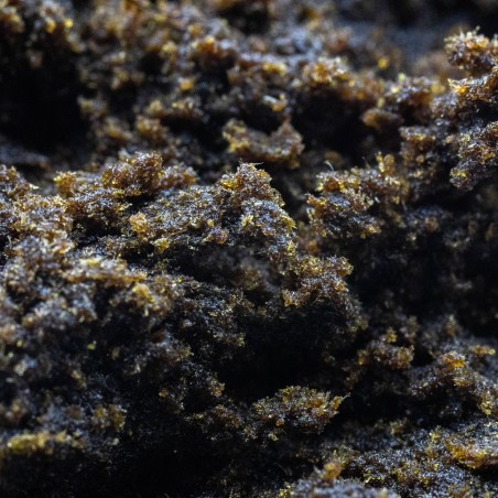 Black Hash