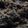 Black Hash