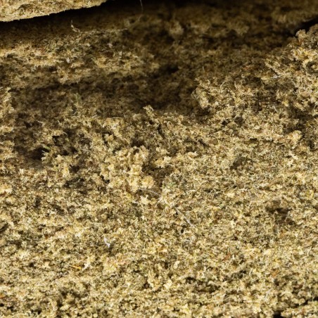 Buddha Kush - CBD BARATO | CBD Légal