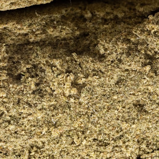 Buddha Kush - CBD BARATO | CBD Légal