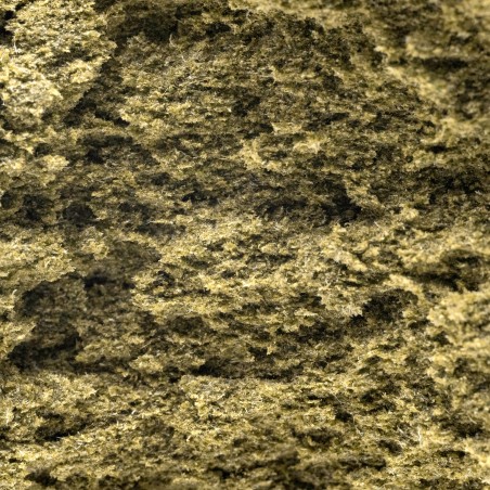 Le Jaune | CBDbarato | La calidad al mejor precio