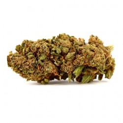 Mobydick CBD