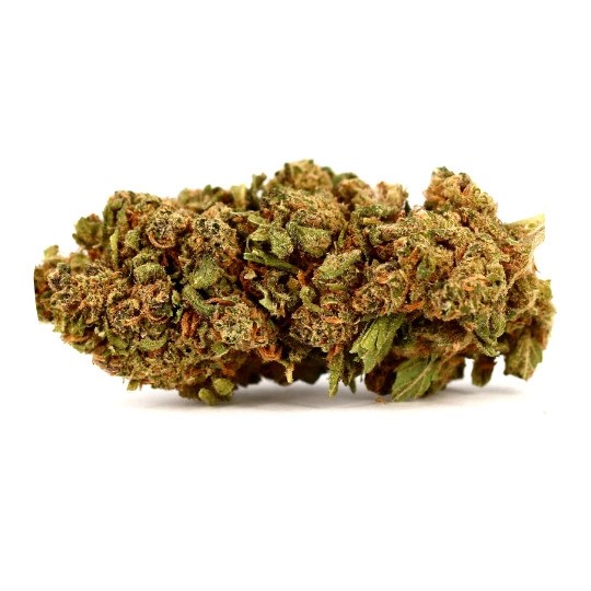 Moby Dick CBD 13% | CBD BARATO

