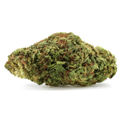 Zkittlez CBD+