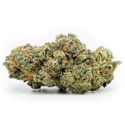 Cannabliss