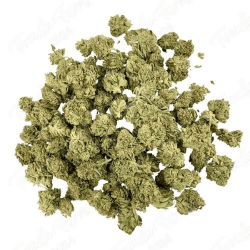 Small Bud – Cheetah Piss