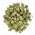 Small Bud Sweet Cheese 14% CBD | CBD barato