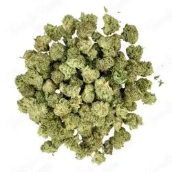 Small Bud - Sweet Cheese