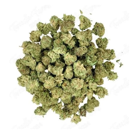 Small Bud Sweet Cheese 14% CBD | CBD barato