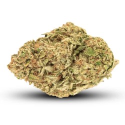 Trainwreck