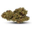 Critical Mass 14% CBD | CBD barato