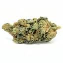 Sour Tangie 10% CBD barato | CBD barato