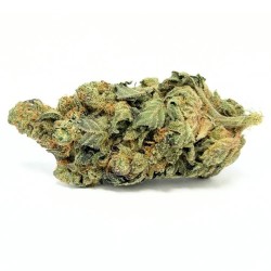 Sour Tangie