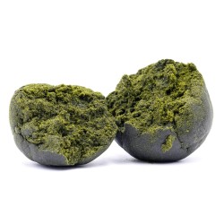 Green Hassan CBD+