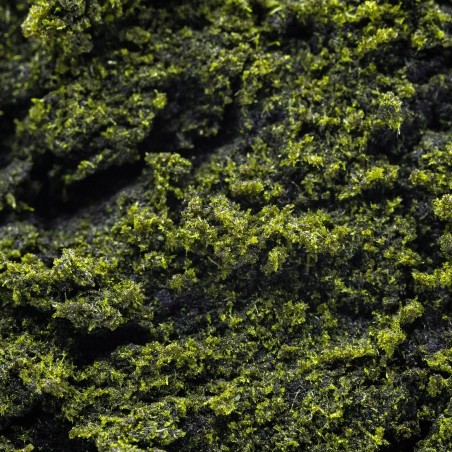 Green Hassan CBD+ 71% | CBD barato