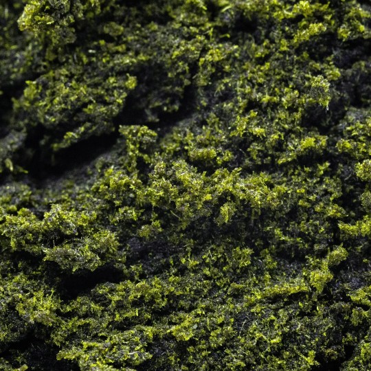 Green Hassan CBD+ 71% | CBD barato