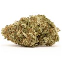 Super Skunk CBD 17% – Flores Invernadero | CBD BARATO
