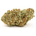 Sunset Sherbet CBD 15% – Flor Interior | CBD BARATO

