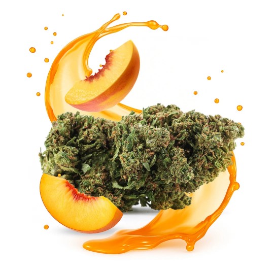 Flor CBD Peach'N'Kush 18% – CBD BARATO