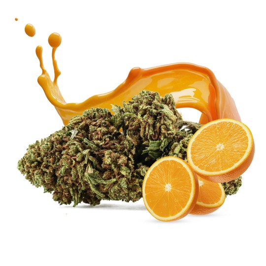 Flores de CBD Orange Bud - Invernadero al 19% de CBD