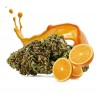 Flores de CBD Orange Bud - Invernadero al 19% de CBD