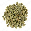 Small Bud Lemon Haze 18% CBD | CBD BARATO