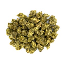 Small Bud - Alien OG Cryo