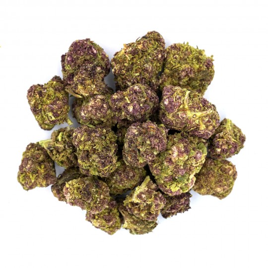 Small Bud Purple Cryo 19% CBD | CBD Barato