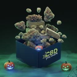 Paquete CBD Halloween