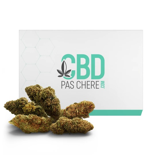 Pack Eco Flor CBD barato | CBD BARATO