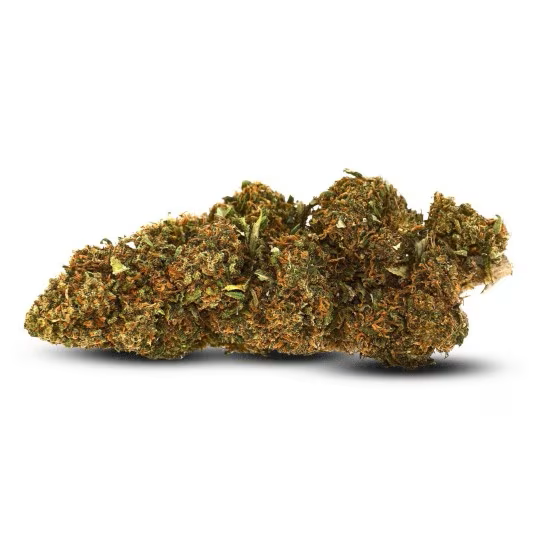 Resina Hollandais CBD 34% | CBD Barato