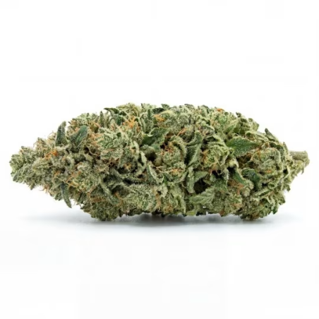 Sour Tangie 12% CBD barato | CBD barato