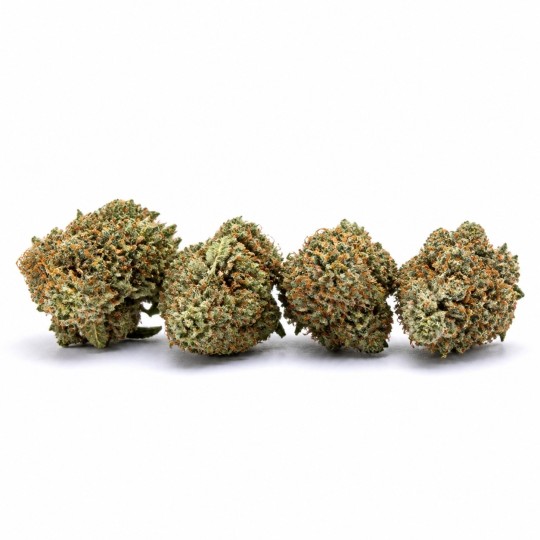 Mini Buds Chemdawg US CBD Boost | CBD Barato