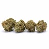 Mini Buds Chemdawg US CBD Boost | CBD Barato