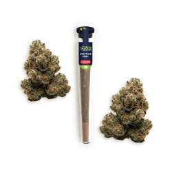 Pré-Roll Kush'N'Haze CBD Boost 28% | CBD Barato