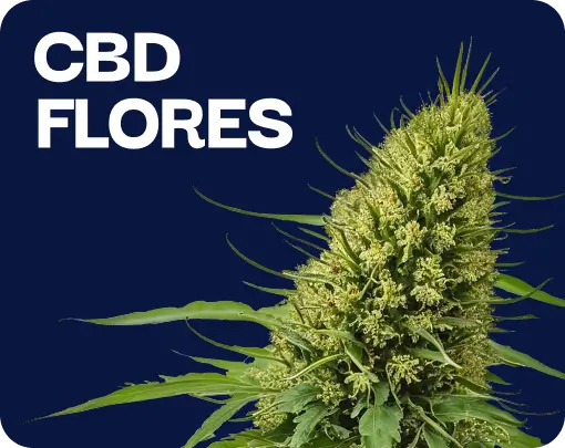 Fleurs de CBD