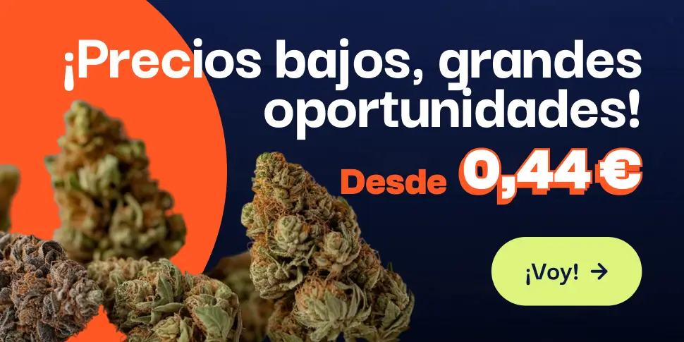 CBD pas chere offre du moment